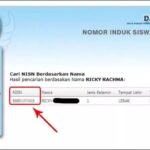 Cek NISN Online Kemdikbud, Nomor Induk Siswa Nasional